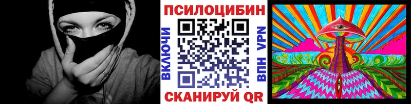 закладка Удачный Псилоцибиновые грибы Psilocybine cubensis